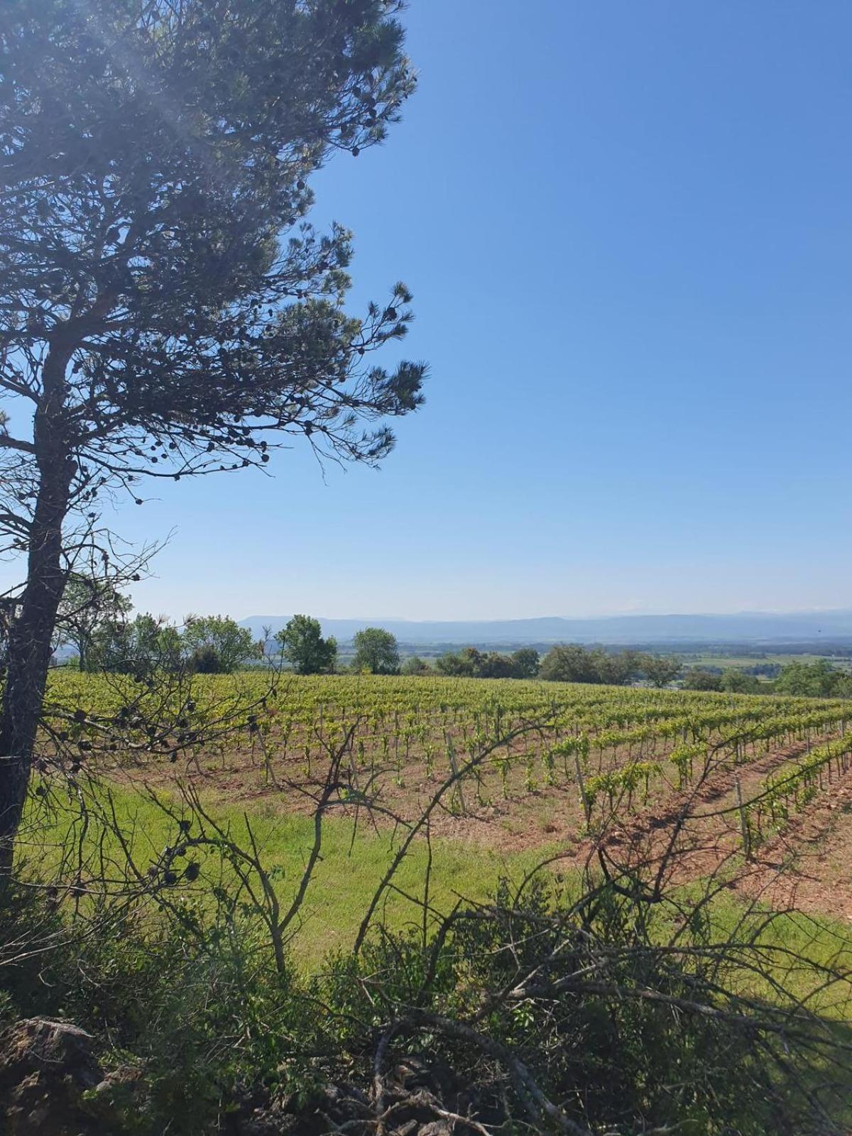 Maison De Charme Caunes-Minervois Extérieur photo
